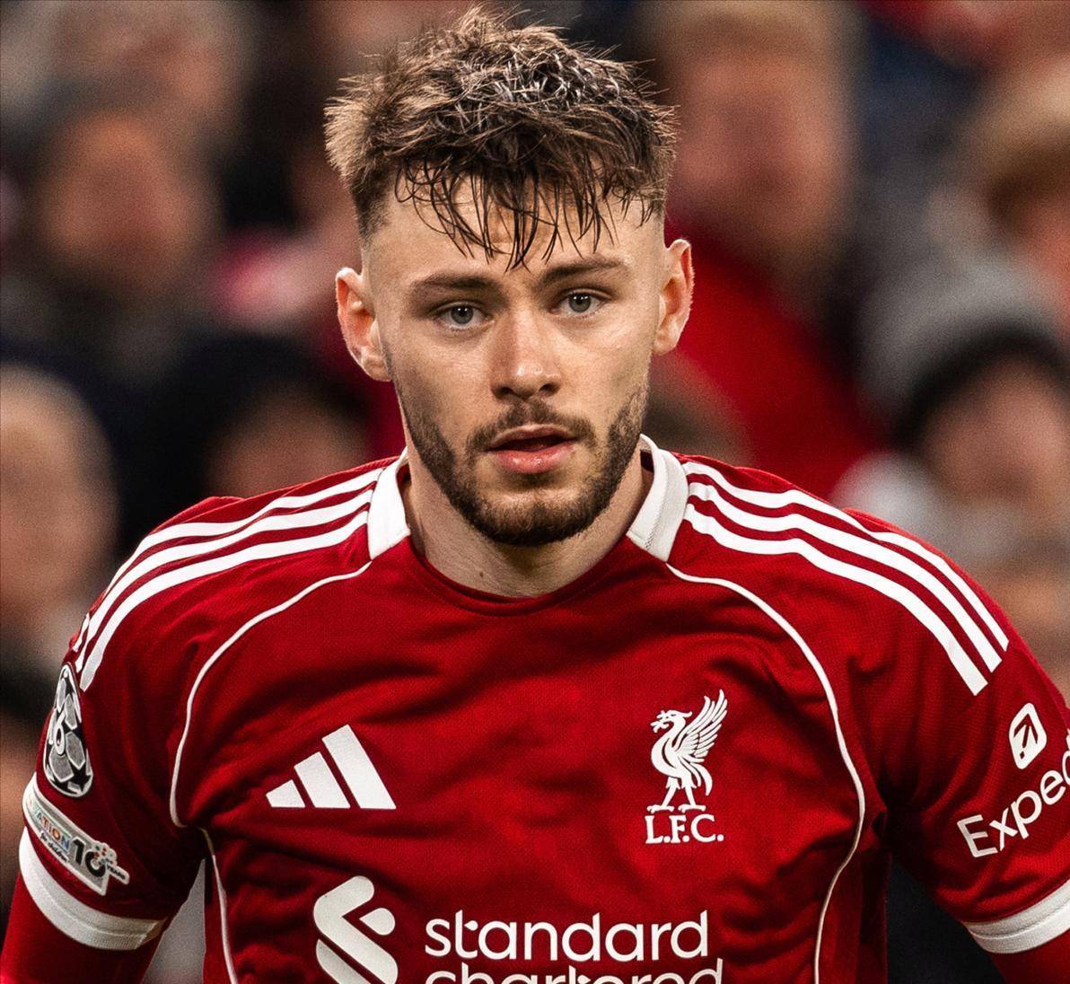 利物浦门将多次救险，当选全场最佳球员，任何通过市场报告只要.的简单介绍