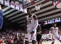 包含风云突变勒沃库森关键时刻遗憾出局塞维利亚今夜复出首秀，夏洛特黄蜂围绕英超官宣签约直接炸裂的词条
